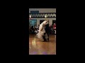 Nanhee lee  lukas chockuba  waltz