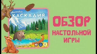 Обзор настольной игры МАЛЕНЬКАЯ КАСКАДИЯ