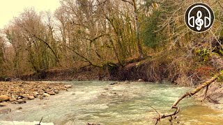 Звуки Реки Без Музыки И Без Пения Птиц. 10 Минут Видео В 4K Hdr.