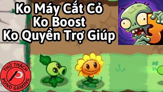 Tôi Đã Phá Đảo PvZ3 Không Máy Cắt Cỏ, Không Boost, Không Quyền Trợ Giúp