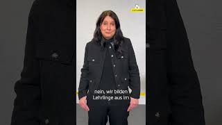 Land Kärnten Als Lehrbetrieb Bietet Ausbildungen In Verschiedenen Berufen