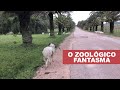 ZOOLÓGICO FANTASMA NO URUGUAI | Nós de Carro @nosdecarro