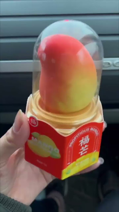 VIRAL Mango Ice Cream