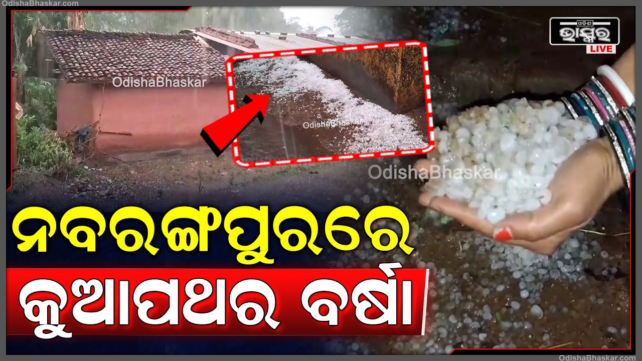 ନବରଙ୍ଗପୁର ଜିଲ୍ଲା ଝରୀଗାଁ ଅଞ୍ଚଳରେ କୁଆପଥର ବର୍ଷା, ମଜା ନେଉଛନ୍ତି ଲୋକେ