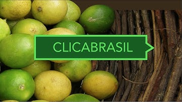 COERLL project: Tecnologia com alma / Technology with soul (ClicaBrasil)