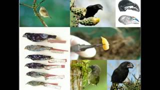 AP Biology Summer Assignment Chapter 53 Population Dynamics
