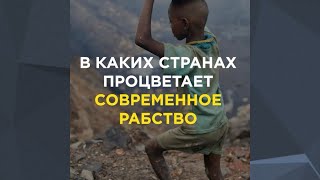 В каких странах процветает современное рабство | 0+