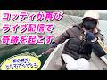 奇跡再び！湖でライブ配信しながら釣りしたらまさかのドラマフィッシュ降臨【丸沼・トラウト】