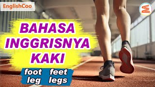 Bahasa Inggrisnya Kaki | Perbedaan Foot Feet Leg | Contoh Kalimat Anggota Tubuh dalam Bahasa Inggris