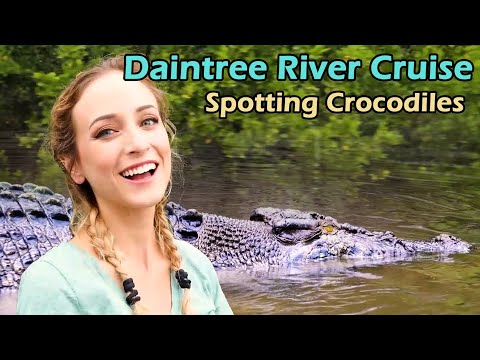 فيديو: Daintree Rainforest: الدليل الكامل