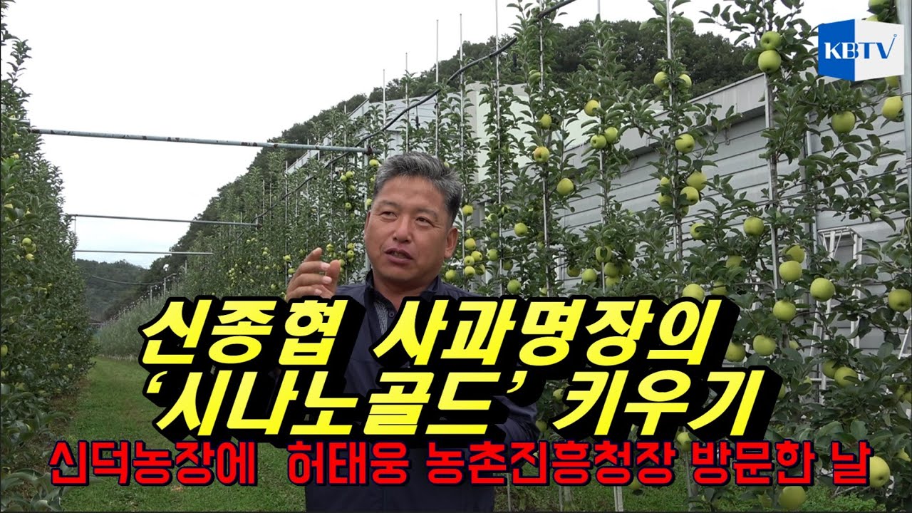 신종협 사과명장의 농장에 손님들 찾아온 날   시나노골드 키우기