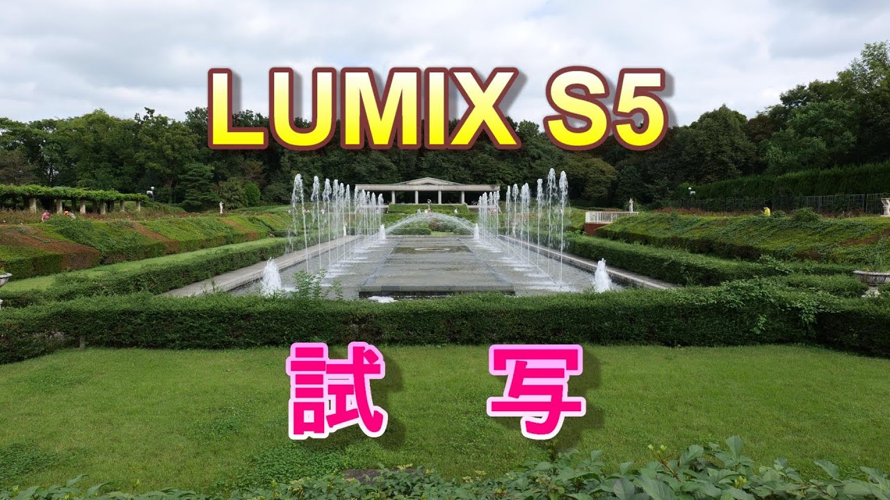Lumix S5 S 60mmf3 5 5 6 神代植物公園 秋の薔薇園 Youtube Lumix S5 S 60mmf3 5 5 6 神代植物公園 秋の薔薇園 Youtube