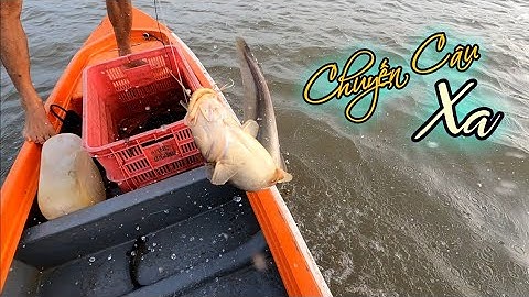 Một Mình Nơi Cửa Biển Lênh Đên Xuyên Đêm Câu Giăng | Gia Đình Cần Giờ .330 |