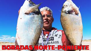 PESCA SURCASTING A POR DORADAS CON NORTE Y PONIENTE