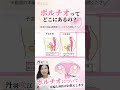 ポルチオってどこにあるの？ #shorts #ポルチオ #子宮腟部 #中イキ