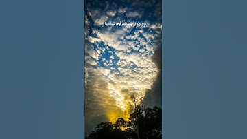 ﴿ألم تر كيف فعل ربك بأصحاب الفيل﴾ للقارئ الشيخ : ماهر المعيقلي 🌼💙.