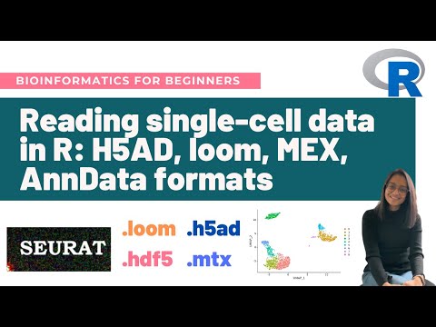 Reading single-cell data in R: H5AD, loom, MEX, AnnData formats | Bioinformatics for beginners