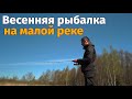 Рыбалка на поплавок и ловля щуки на малой реке весной.  Уха из плотвы, жареная щука.