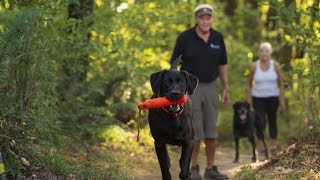 What Dogs Wish You Knew About Their Health!!