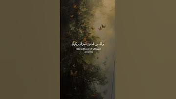 اكتب شيئا تؤجر عليه...🤍 #قرآن #المصحف #تلاوة_خاشعة #holyquran #quran
