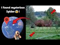 Exploring Mysterious Giant Spider Sculpture Caught on Google Earth! 😰