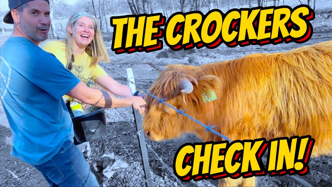 The Crockers help introduce Ginger to the Homestead Highlands YouTube