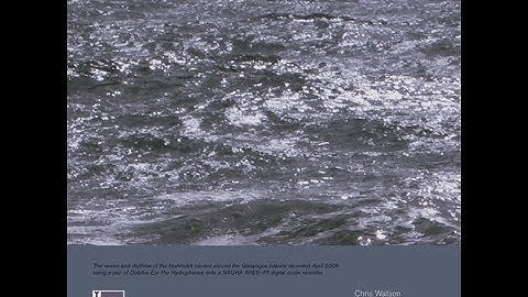 Chris Watson - Oceanus Pacificus (Full Single)