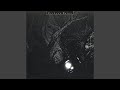 Cocteau Twins - The Pink Opaque