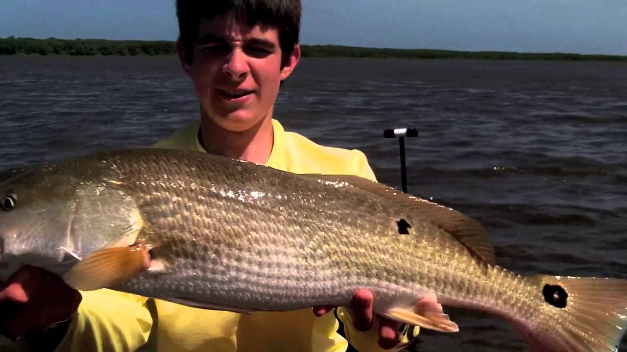 Slot redfish florida