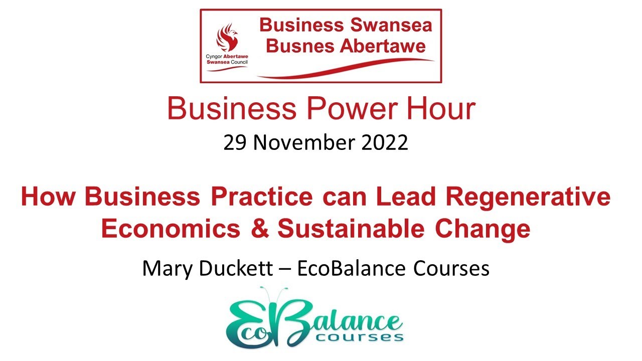 How Business Practice can Lead Regenerative Economics & Sustainable Change - Business Power Hour