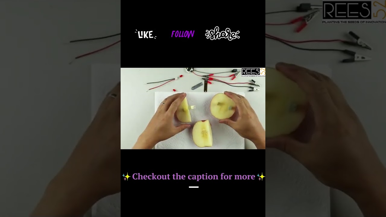 DIY Fruit Battery Alarm Clock Potato Power Clock 