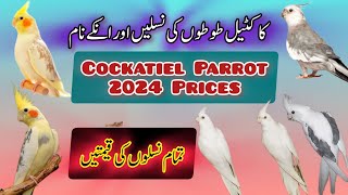 Cockatiel Mutations #cocktailparrot #cockatiel #cockatielparrot #birdsfarming#birds#parrot