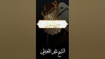 الشيخ ماهر المعيقلي - سورة الفيل #quran #allah #coran #surah #surat #islam #islamic #islamicvideo