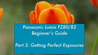 Panasonic Lumix FZ80/82 For Beginners Part 3: Perfect Exposure