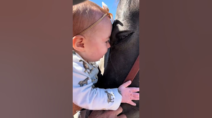 Baby Girl Has Heartwarming Interaction with horse 🐴