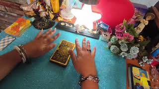 🥳⚽🏃BRAZIL 🆚 JAPAN 🎉 WORLD CUP 🎊#tarot #soccer 🥰Meet my kitten, and a reflection, special video