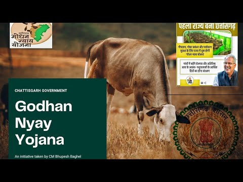 All about Chattisgarh Godhan Nyay Yojana. Cg Godhan Nyay Yojana in Hindi