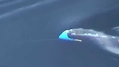 MOV002