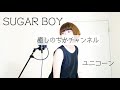 SUGAR BOY ユニコーン 女が原キーで歌ってしまう ユニコーン 癒しのちかチャンネル