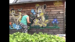 Жительница Канска украсила участок огромными картинами из тысяч пластиковых крышек