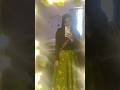 Hey this is my GRWM #beauty #love #viralvideo #fashion