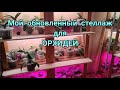 26.01.21.ОРХИДЕЙНЫЙ СТЕЛЛАЖ новые полки.