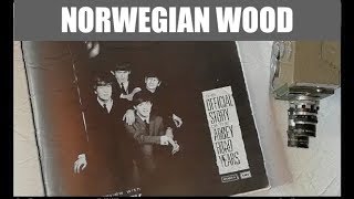 Christophe Goze - Norwegian Wood (Beatles Cover)