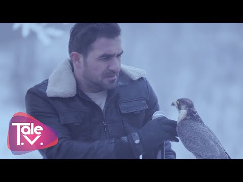 Talıb Tale - Dağlar/Həzin popurri (Akustik)