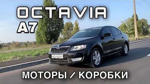 Обзор Skoda Octavia A7 - Как выбрать?