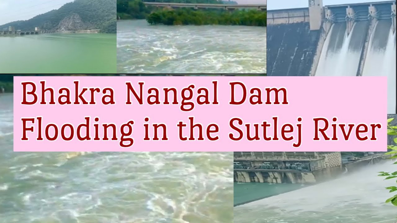 Bhakra Nangal damFlooding in the Sutlej River YouTube