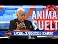 Jorge Asís en "Animales sueltos" de Alejandro Fantino - 29/11/17