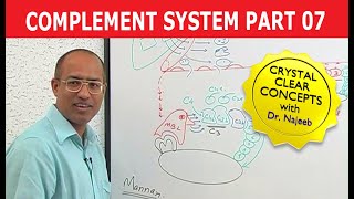 Complement System | Immunology | Part 7/18