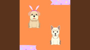 Lovely Moods for Lazy Doggo