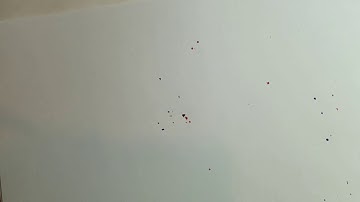 Finding volume using double integral- Professor Mohammad Ganjizadeh